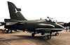 ZH 200 Hawk single seater taken early Saturday 15th October '88