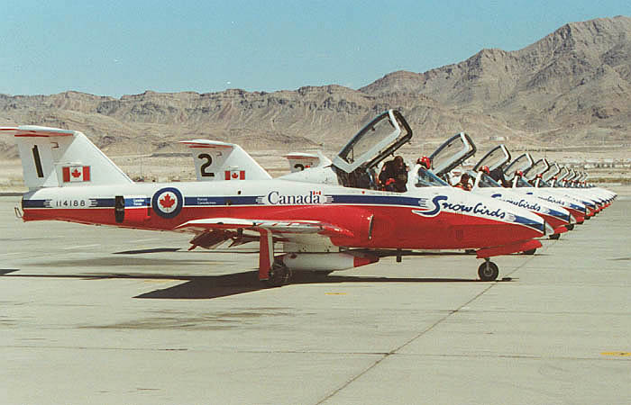 snowbirds.JPG (57465 bytes)