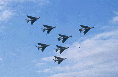 Firebirds aerobatic display team