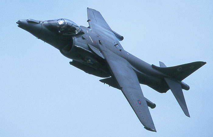 harrierfly.JPG (36838 bytes)