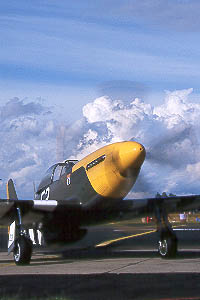 The Old Flying Machine Co provided most of the Warbirds