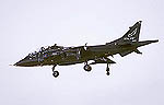 Harrier T8