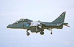 Harrier T10