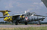 Tiger Saab 105, another frequent visitor to the UK this year