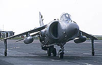 Sea Harrier ZH800 provided a flying display but left early