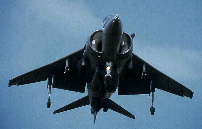 harrier.JPG (58102 bytes)