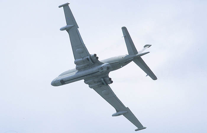 nimrod.JPG (50113 bytes)
