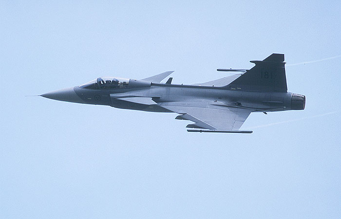 gripen.jpg (35476 bytes)