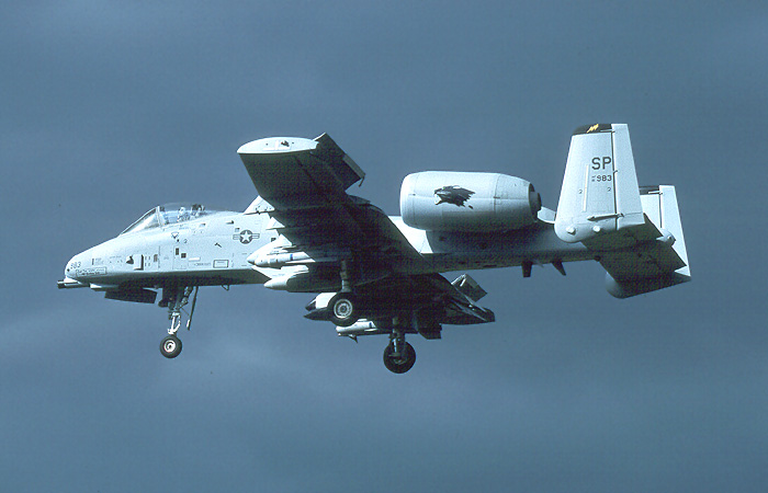 Warthog