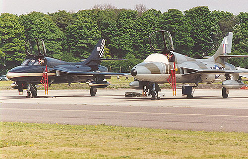 Hunters galore at Kemble - and it's not yet July!