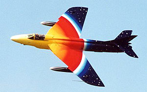 Miss Demeanour. Picture by Damien
