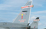 RAF Jaguar 41 Squadron anniversary scheme