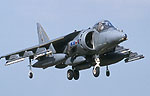 A Harrier, but not a based one