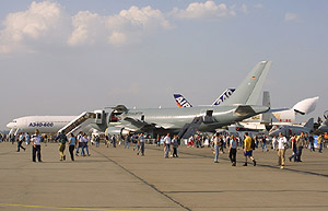 Just part of the extensive static park