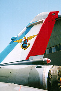 That tail of the Mirage F1