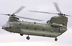 Chinook