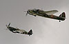 Blenheim and Carolyn Grace's Spitfire T9