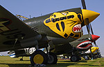 P-40s show off their plumage