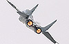 Luftwaffe MiG-29A
