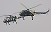 Wasp duo - the Wasp was the mainstay of the Navy for many years