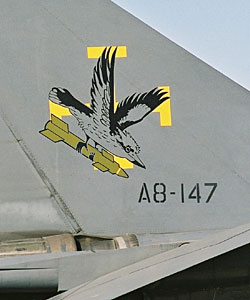 F-111 tail