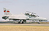 Plain Hawk