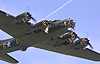 Sally B