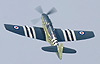 RNHF Firefly