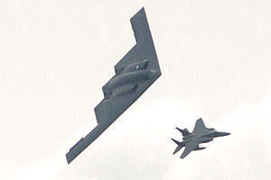 B-2A with one of its chicks