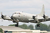 P-3 Orion