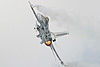 Dutch F-16AM
