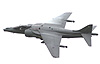RAF Harrier - pilot for 2003 is Flt Lt David Slow