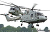 RN Lynx pair