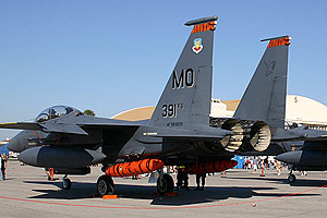 Tiger-striped F-15E from the 391st FS 